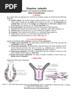 Class 11 Animal Kingdom Overview | PDF | Sponge | Biology