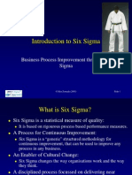 1 Introduction to Six Sigma 458 k Ppt4941