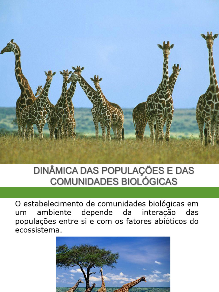 Dinâmica de População | PDF