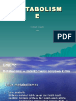 Metabolism e