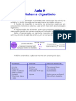 Biologia - Aula 09 - Sistema Digestório