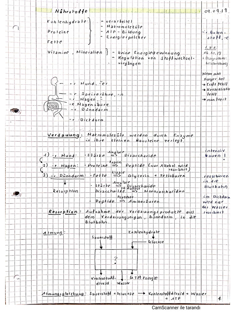 11 Biologie 1 Dissimilation | PDF