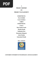 PDF Document