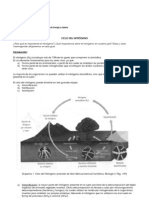 3o Medio Ciclo Del Nitrogeno