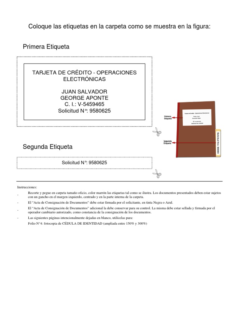 Solicitud de Autorización de Divisas | PDF | Tarjeta de crédito | Science