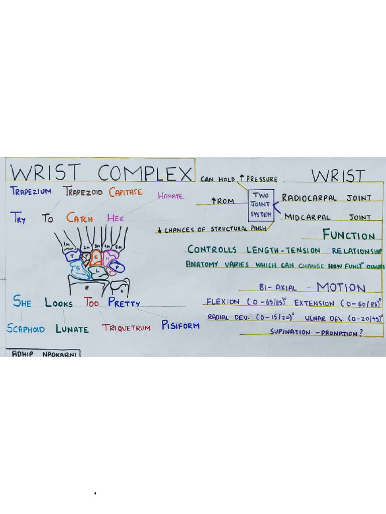 Wrist Joint Notes | PDF