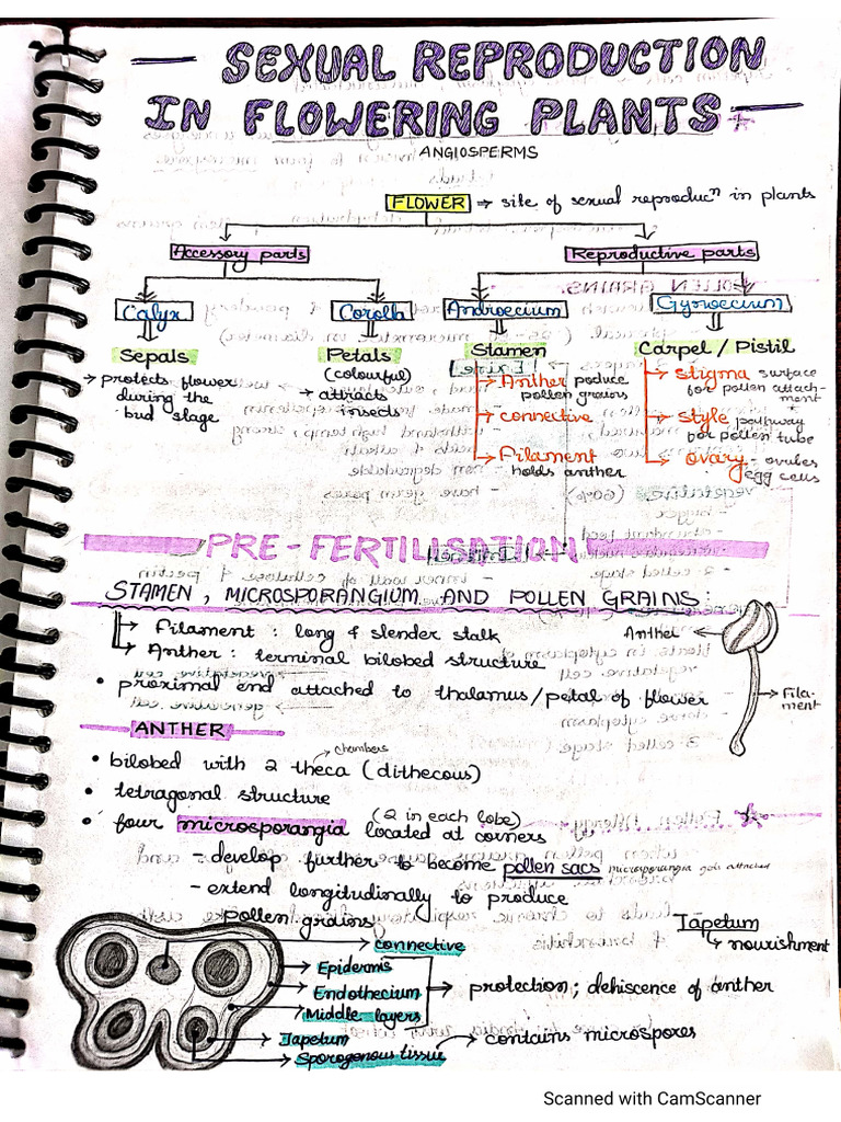 Biology Notes | PDF