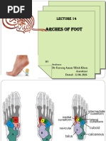 First Ray Biomechanics in Foot Function | PDF | Foot | Anatomical Terms ...