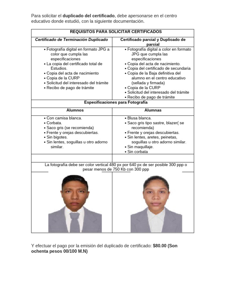 Requisitos de Solicitud de Certificado Parcial y Duplicado | PDF