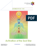 Download Activation of the Soul Star by Evelina Negara SN104236057 doc pdf