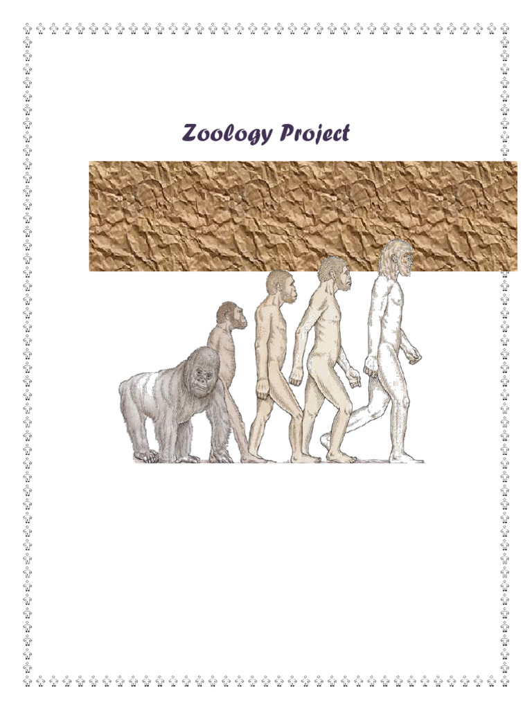 DOC-20260519-WA0023. | PDF | Human Evolution | Homo