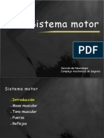 Sistema Motor