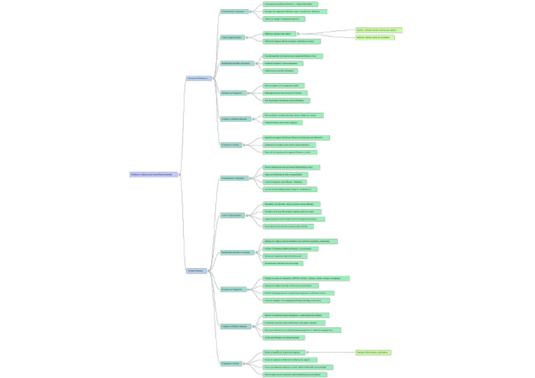 NotebookLM Mind Map | PDF