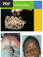Download Ascaris Lumbricoides by charlene_beato SN104290134 doc pdf