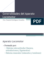 Generalidades Del Aparato Locomotor