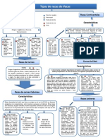 Tipos de Razas de Vacas