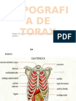 Topografia Toras J