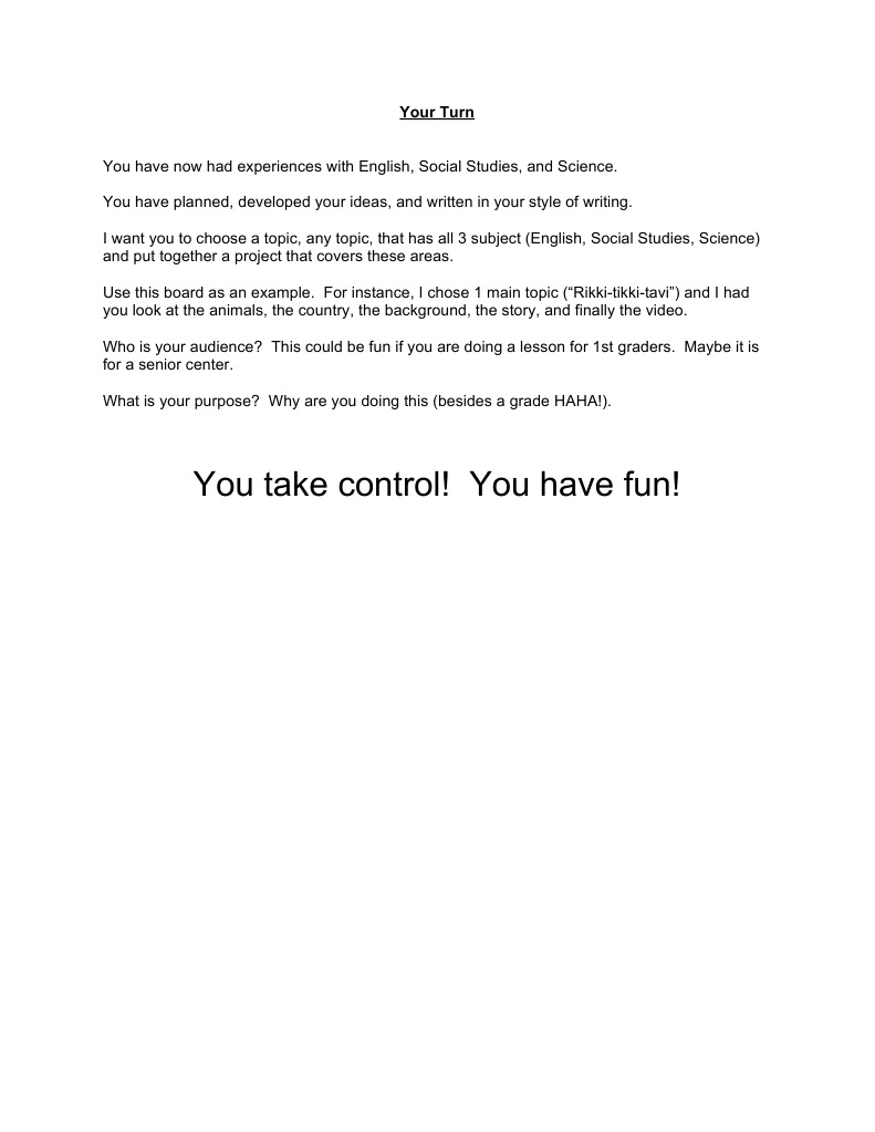 Your Turn Project Guidelines | PDF | Science & Mathematics