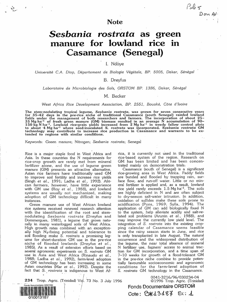 Sesbania Rostrana As Green Manure For Lowland Rice | PDF | Rice | Soil