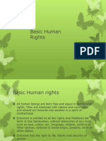 Basic Human Rights