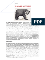 El Oso de Anteojos