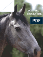 Promo Agenda Equestre 2013