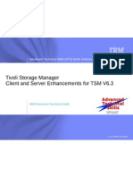 TSM 6.3 Server - Client Enhancements