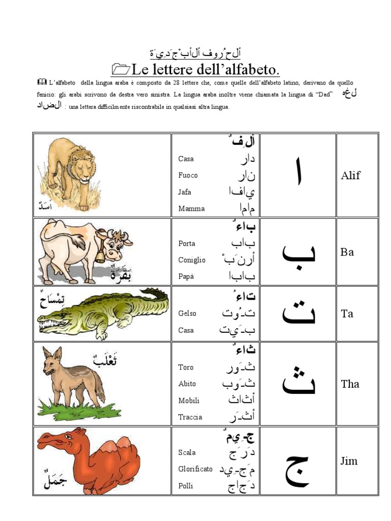 Le lettere dell’alfabeto