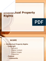 Intellectual Property Rights