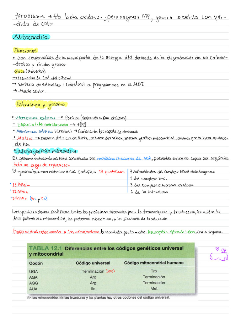 Mito y Peroxi | PDF