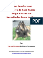 Como Enseñar A Un Cachorro de Raza Pastor Belga A Hacer Sus Necesidades Fuera de Casa