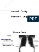 Pleurae Lungs E-learning