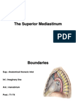 The Superior Mediastinum E-learning