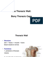 Thoracic Wall 1 E-learning