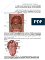 Anatomia Atlas Digestivo