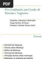 Aula 1 - Liderança e Motivação