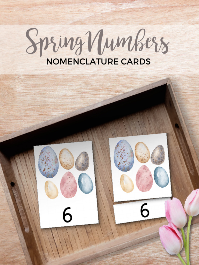 Spring Numbers: Nomenclature Cards | PDF