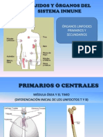 Defensas Contra La Enfermedad - 3