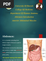 Anatomy of the Anterior Abdominal Wall | PDF | Abdomen | Vein