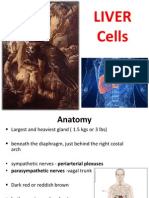 Liver Cells -Pradep 