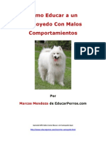 Como Educar A Un Samoyedo Con Malos Comportamientos