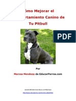 Como Mejorar el Comportamiento Canino de tu Pitbull