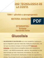 Glucolisis