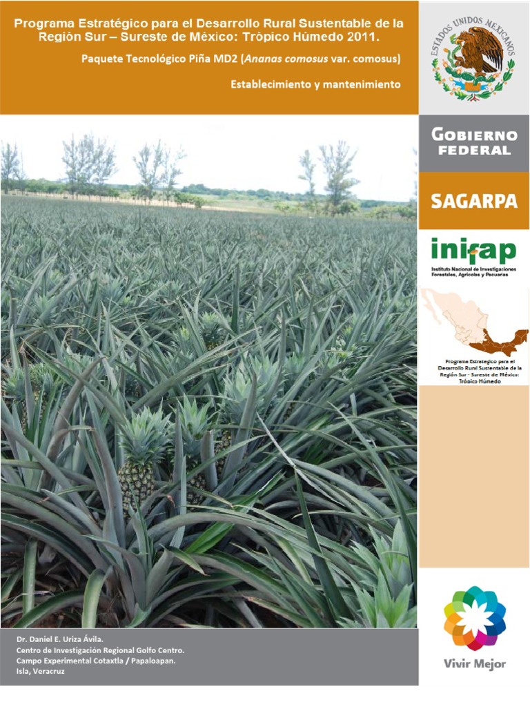 Cosecha y manejo de piña MD2 | PDF | Piña | Agricultura