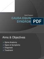 Cauda e Quina Syndrome