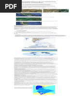 Extensión y forma de Argentina | PDF | Américas | Continente