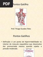 Pontos Gatilhos