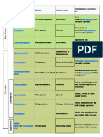 Plant Divisions