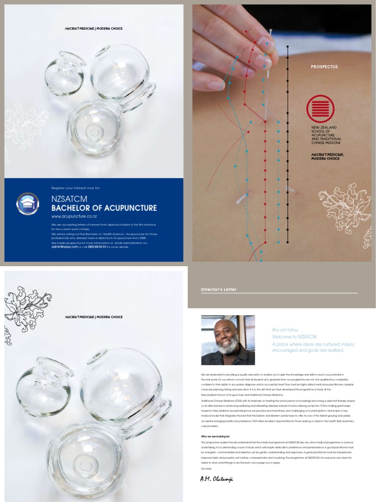 Acupuncture and TCM Programs Overview | PDF | Traditional Chinese ...