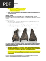 Intro doenças Obstrutivas - Robbins